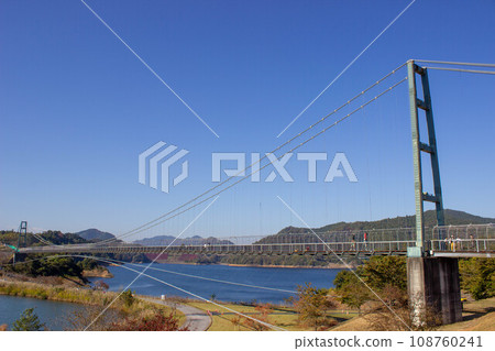 Lake Miyagase and Suspension Bridge in autumn 108760241