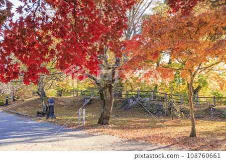 Komoro Castle Kaikoen, the best time to see autumn leaves Komoro Castle Kaikoen, the best time to see autumn leaves 108760661