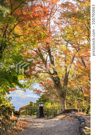 小諸城懷古園，賞紅葉的最佳時期 108760663