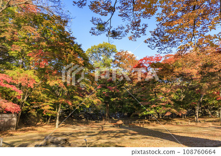 小諸城懷古園，賞紅葉的最佳時期 108760664