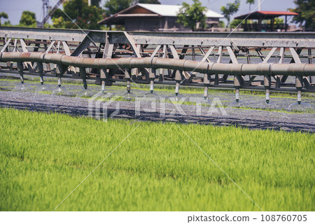 Green farm sprinkler automatic Watering machine Rice Field Green agriculture ecosystem Asian rice paddy field Thailand green farm. Harvest agriculture planting cultivation green rice terraces garden 108760705