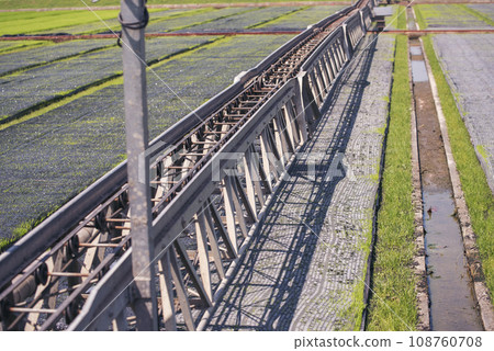 Green farm sprinkler automatic Watering machine Rice Field Green agriculture ecosystem Asian rice paddy field Thailand green farm. Harvest agriculture planting cultivation green rice terraces garden Green farm sprinkler automatic Watering machine Rice Field Green agriculture ecosystem Asian rice paddy field Thailand green farm. Harvest agriculture planting cultivation green rice terraces garden 108760708