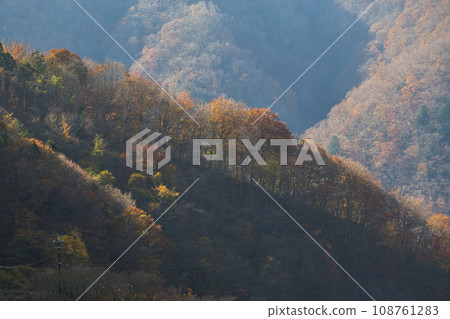 秋葉滿溢的九頭龍湖 108761283