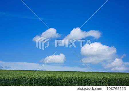 美瑛山的景色 108762333