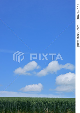 美瑛山的景色 108762335