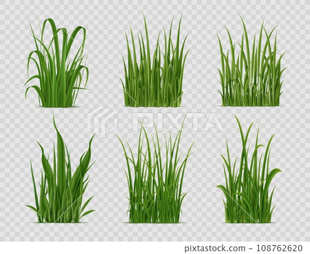 Realistic grass, green field or lawn plants, vector nature. Isolated 3d tufts and bunches of spring garden, back yard or meadow grass carpet with fresh green leaves, blades and sprouts Realistic grass, green field or lawn plants, vector nature. Isolated 3d tufts and bunches of spring garden, back yard or meadow grass carpet with fresh green leaves, blades and sprouts 108762620