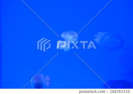 Jellyfish material swimming in the aquarium Jellyfish material swimming in the aquarium 108763310