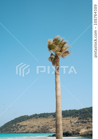 Hamdeok Beach with palm tree and Seoubong peak in Jeju island, Korea Hamdeok Beach with palm tree and Seoubong peak in Jeju island, Korea 108764389