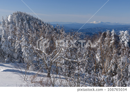 冬天從劍峰山登山道看到的淺間山 冬天從劍峰山登山道看到的淺間山 108765034