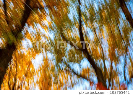 Abstract autumn leaves impressionist fall colors and sky background Abstract autumn leaves impressionist fall colors and sky background 108765441