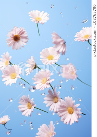 White daisies fly in the air on blue pastel background. 108765790