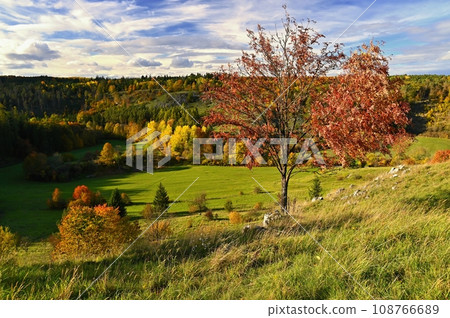 Beautiful colourful autumn landscape in the Czech Republic. Colorful trees in nature in autumn season. Seasonal concept for outdoor activities. 108766689