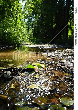 Beautiful nature with forest and sun. Green background - concept for environment and landscape. Clean water in a small river.  Rikonin - Libochovka - Czechia. 108766692