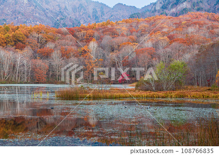 Togakushi mountain range with autumn leaves bathed in the morning sun reflected in Kagami Pond 108766835