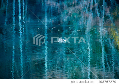 Autumn Yatsugatake, spectacular view of Mishaka Pond 108767270