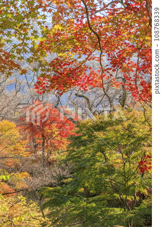 高遠城跡紅葉節 108768339