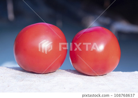 Two red tomatoes on a stone table in front of a blue background 108768637