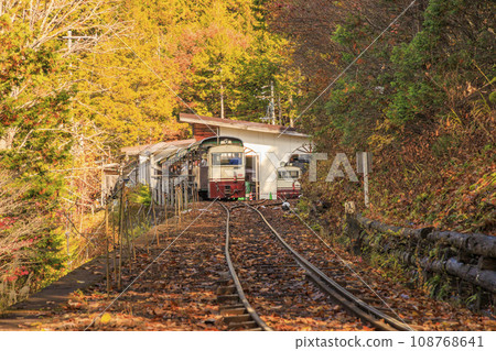 Akasawa Recreational Forest, the best time to see autumn leaves Akasawa Recreational Forest, the best time to see autumn leaves 108768641