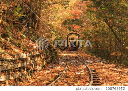 Akasawa Recreational Forest, the best time to see autumn leaves Akasawa Recreational Forest, the best time to see autumn leaves 108768652