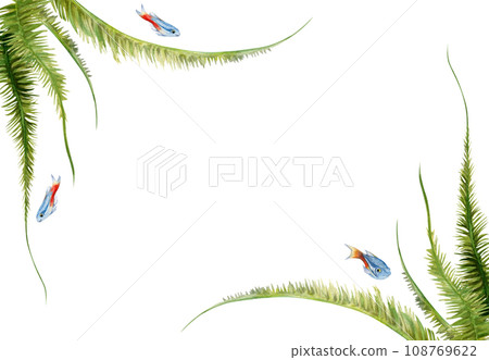 Hand drawn watercolor aquarium fish, algae and sealife. Marine exotic underwater illustration. Isolated on white background. Frame border. Design for shops, brochure, print, card, wall art, textile. 108769622