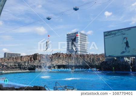 名古屋港水族館 名古屋港水族館 108770401