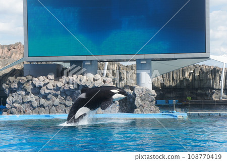 Port of Nagoya Public Aquarium  108770419