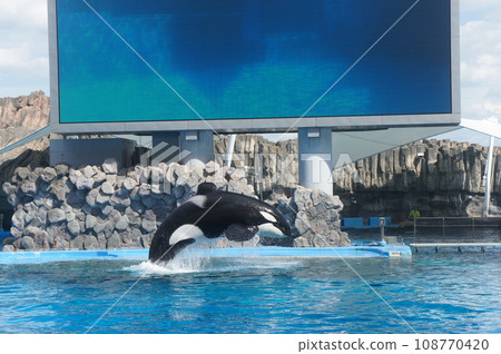 Port of Nagoya Public Aquarium  108770420