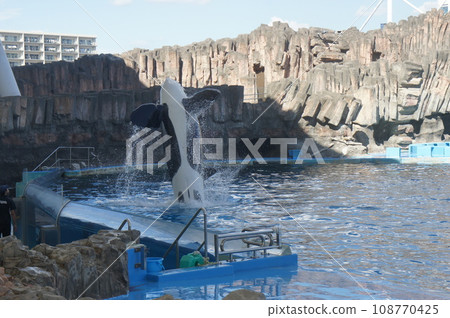 Port of Nagoya Public Aquarium  108770425