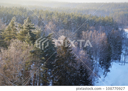 Winter landscape. Trees and bushes with hoarfrost. The cold season. a grayish-white crystalline deposit of frozen water vapor formed in clear still weather Winter landscape. Trees and bushes with hoarfrost. The cold season. a grayish-white crystalline deposit of frozen water vapor formed in clear still weather 108770927