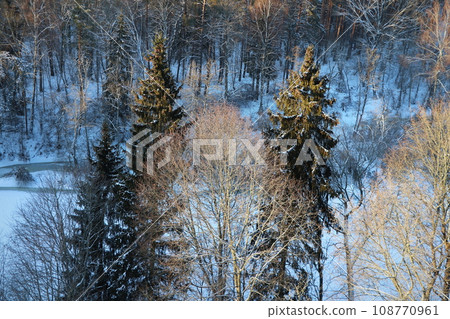 Winter landscape. Trees and bushes with hoarfrost. The cold season. a grayish-white crystalline deposit of frozen water vapor formed in clear still weather Winter landscape. Trees and bushes with hoarfrost. The cold season. a grayish-white crystalline deposit of frozen water vapor formed in clear still weather 108770961