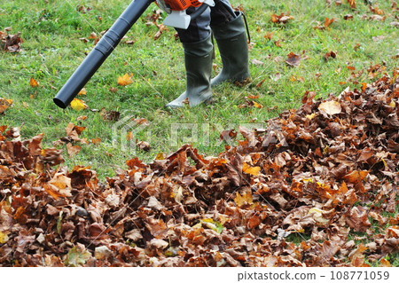 Worker cleaning falling leaves in autumn park. Man using leaf blower for cleaning autumn leaves. Autumn season. Park cleaning service Worker cleaning falling leaves in autumn park. Man using leaf blower for cleaning autumn leaves. Autumn season. Park cleaning service 108771059