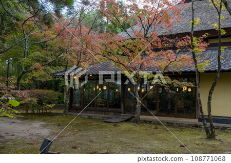 Autumn leaves at Yufuin Lake Kinrinko 108771068