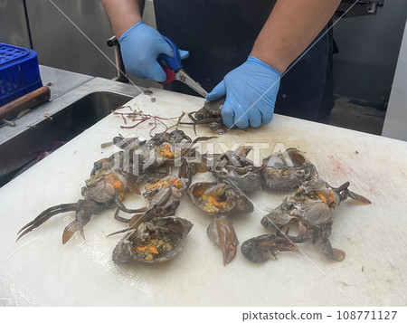 Fishmonger is handling fresh crabs Fishmonger is handling fresh crabs 108771127