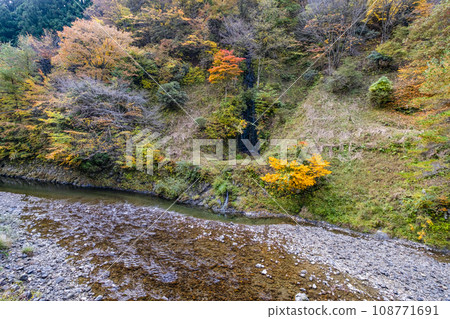 村莊的秋天(奈良縣野佐古川村) 村莊的秋天(奈良縣野佐古川村) 108771691