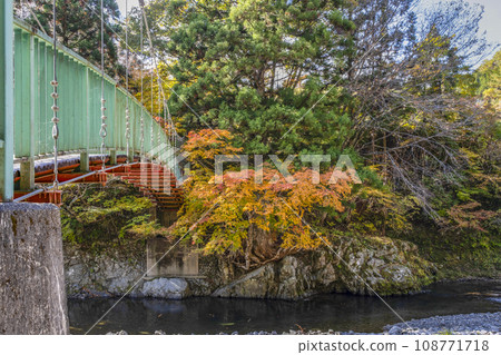 Autumn in the village (Nosakogawa Village, Nara Prefecture) Autumn in the village (Nosakogawa Village, Nara Prefecture) 108771718