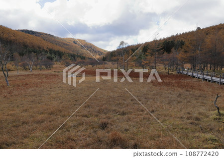 Autumn scenery of autumn leaves on Mt. Nyukasa (Oabara Wetland / October 2023) 108772420