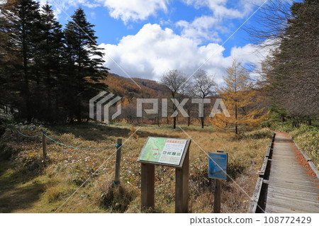 Autumn scenery of autumn leaves on Mt. Nyukasa (Oabara Wetland / October 2023) Autumn scenery of autumn leaves on Mt. Nyukasa (Oabara Wetland / October 2023) 108772429