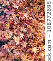 Carpet of fallen autumn leaves 108772695