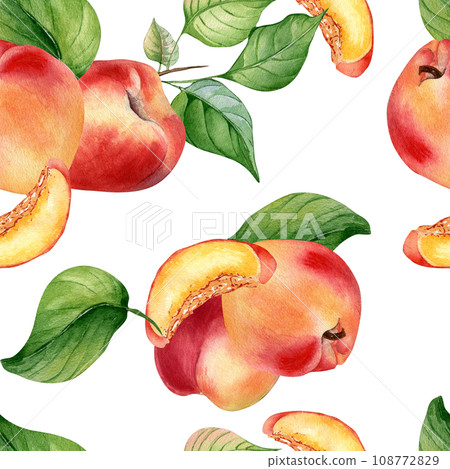 Fresh nectarines whole and half watercolor seamless pattern isolated on white background. Ripe fruits peach and leaves. Apricot hand drawn. Design element for package, textile, wrapping paper, fabric Fresh nectarines whole and half watercolor seamless pattern isolated on white background. Ripe fruits peach and leaves. Apricot hand drawn. Design element for package, textile, wrapping paper, fabric 108772829