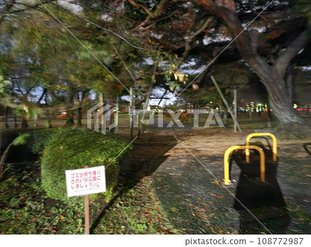 Night view of Kaiseiyama Park, a famous spot in Koriyama City, Fukushima Prefecture 108772987