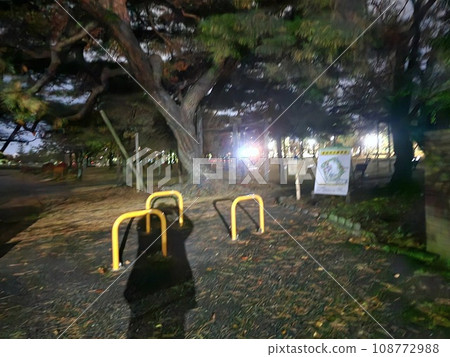 Night view of Kaiseiyama Park, a famous spot in Koriyama City, Fukushima Prefecture 108772988