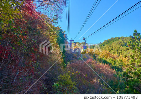 秋天,山梨縣甲府市登山纜車登頂 秋天,山梨縣甲府市登山纜車登頂 108773498