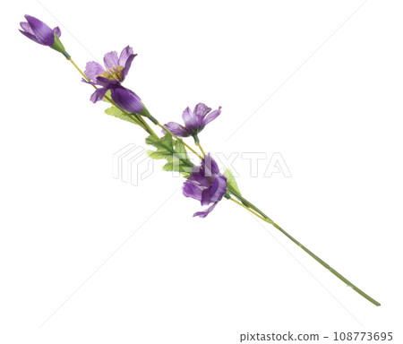 Artificial Green Leaf many purple flower tropical leaves with branch. Dark green leaves of tropical purple flower, tropical foliage plant leaf growing in wild. White background isolated 108773695