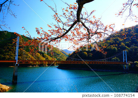 九頭龍湖、箱瀨大橋的秋葉 108774154