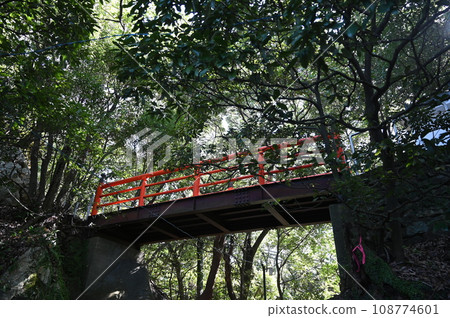 Gifu Castle Kinkazan walking path and Shofu Bridge Gifu Castle Kinkazan walking path and Shofu Bridge 108774601