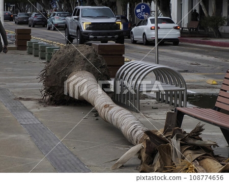 Hurricane Norma October 2023 La Paz Baja California Sur 108774656