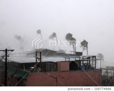 Strong wind during Hurricane Norma October 2023 La Paz Baja California Sur 108774666