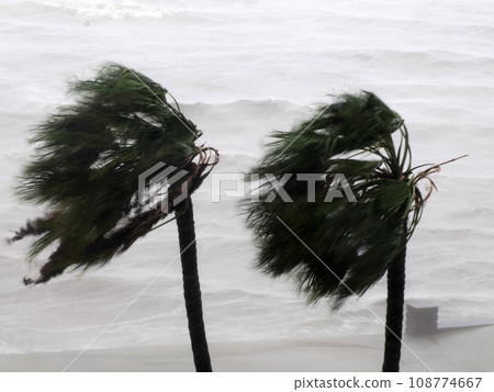 Strong wind during Hurricane Norma October 2023 La Paz Baja California Sur 108774667