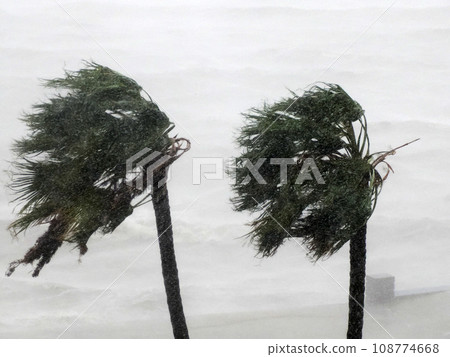 Strong wind during Hurricane Norma October 2023 La Paz Baja California Sur 108774668