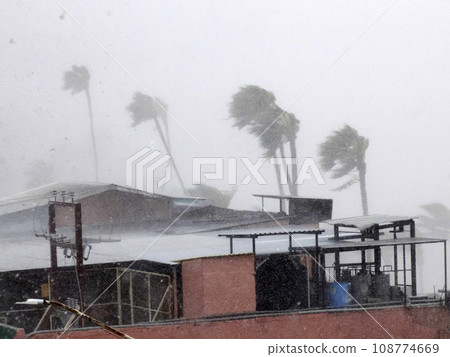 Strong wind during Hurricane Norma October 2023 La Paz Baja California Sur Strong wind during Hurricane Norma October 2023 La Paz Baja California Sur 108774669